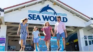 Central Gold Coast Holiday Accommodation at Ashmore Palms #holidayparks #goldcoast