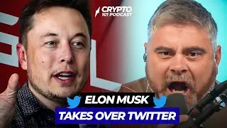Elon's Twitter Takeover, Bitboy's Rant, & Dogecoin Rips - The Crypto Rundown
