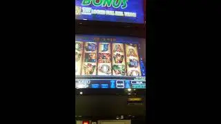 Wild life vlt $5.00 max bet bonus