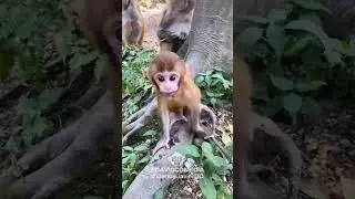 Cuando No Le Haces Caso a Tu Mam&aacute;