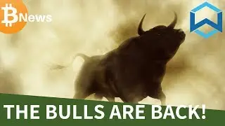 The Bitcoin BULLS are BACK! Wanchain Introduction - Today's Crypto News
