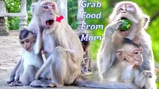 Really Greedy !! Reality Of Poor Blind Baby Vigo With Her Mom Vegas