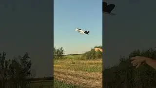Launching overpowered Atomrc Penguin  #fpv #fpvplane #atomrc