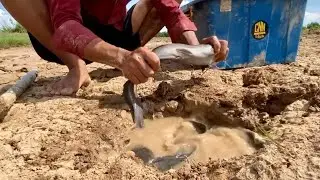 awesome fishing! catch a lots of monster Redfish and catfish in under the ground by hand