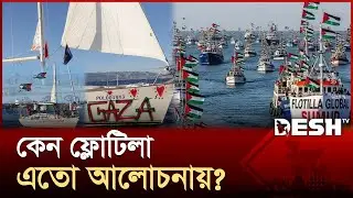 ফ্লোটিলা কী? এ নৌবহর নিয়ে ইসরায়েলের এতো ভয় কেন? | Gaza | Flotilla | mission to Gaza | Desh TV