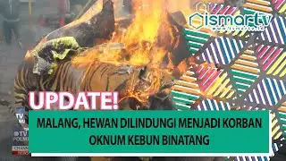 [POLMASTV] MALANG, HEWAN DILINDUNGI MENJADI KORBAN OKNUM KEBUN BINATANG