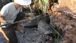 Best fishing in dry season catching fish hole | Animal Catching Technology