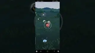 Schnuthelm Curveball / Pok&eacute;mon go