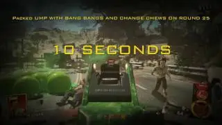 Infinity Ward Zombies vs. Treyarch Zombies Health Comparison