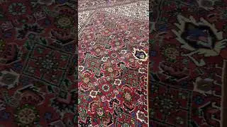 8'3 x 10 Persian Bijar Rug with Ivory Field