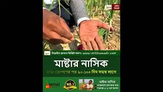 মাষ্টার নাসিক পেঁয়াজ কেমন মাটিতে ভাল ফলন হয় #nasikonion #shorts #onionfarming #agriculture