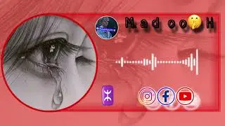 ١٢ يناير، ٢٠٢٦