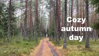 Cozy autumn and a fireplace with relax music and nature sounds in Estonia