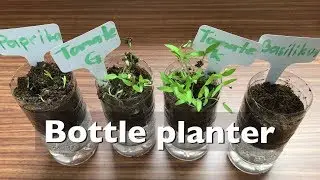 Planting Seeds - Plastic Bottle Craft  + Self Watering Plant