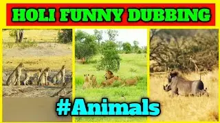 Holi Kab hai ,Kab Hai Holi | Holi Funny Dubbing | Rangpanchami | Animals Funny Dubbing | Gabbar