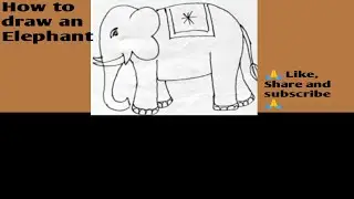 How to draw ✏️📝 an Elephant for beginners 