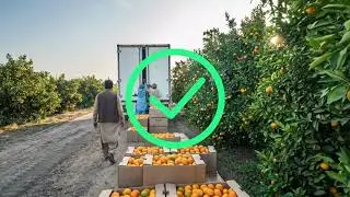 The IRT Chamber extends sincere gratitude to the Government of Pakistan for issuing revised circular