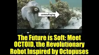 Будущее за мягкими технологиями: познакомьтесь с OCTOID, революционным роботом, вдохновлённым ось...