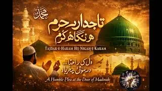 Tajdar-e-Haram | Soulful Sufi Fusion | [Aapka Naam/Channel Name] | Heart Touching Qawwali 2026#sufi 
