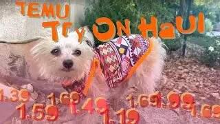 Dog Clothes For Under $2 On TEMU?!?!? / Try On Haul - The Cookin&rsquo; Camper