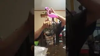Unboxing a pink flamingo solar light