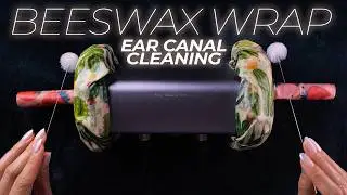 ASMR Beeswax Wrap Ear Canal Cleaning for the Sleep-Deprived | 3D Brain Penetration (No Talking)