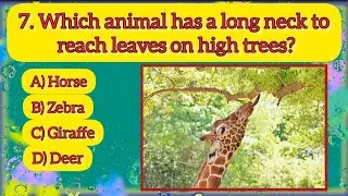 Gk for kids || General Knowledge ll Class 1 Gk ll Gk in English