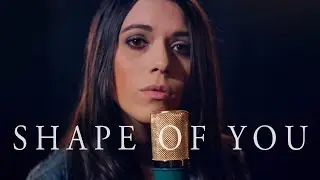 Shape of You - Ed Sheeran (Max Wrye, Jon D, Alyssa Poppin COVER)