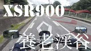 【XSR900】養老渓谷ツーリング