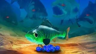 NEW GAME MODE! Perch Protects its Eggs - Feed and Grow Fish - Part 135 | Pungence