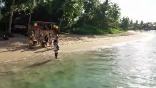Drug Song Janko Nilovic Acoustic Reggae 2025 Acoustic Guitar Harmony for Calm Spirit
