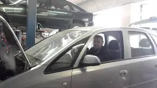 OPELIS DUMIJA