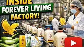 Inside Forever Living: The World's Largest Aloe Vera Factory