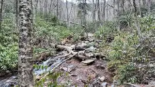 Alum Cave Trail 