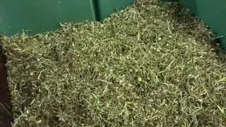 Aliment fibreux pour chevaux sur Copeaux 0235905417