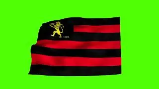 Chroma Key - Bandeira Oficial do Sport Clube Recife - Green Screen