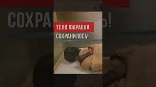 Тело фараона аль-Валид ибн Мус&lsquo;аб сохранилось до наших дней и пребывает в музее Египта. #ислам #думу