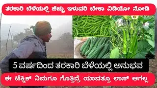 ತರಕಾರಿ ಬೆಳೆಯಲ್ಲಿ ಲಾಸ್ ಅನ್ನೋದೇ ಇಲ್ಲಾ | There is no such Things as loss in Vegetable farming #kannada 