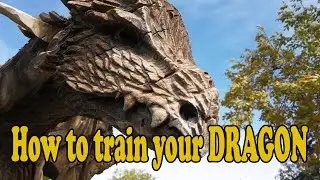 DRAGON Training, sit and stay