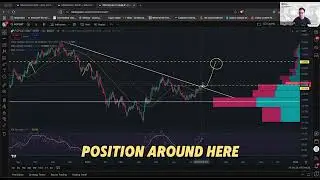 � The CAT is back! This MEME is ready for Massive Move!