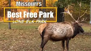 Missouri&rsquo;s BEST FREE PARK! Lone elk park