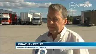 Banana prices to rise?