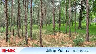 Homes for sale - 40500 Rolling Forest Drive, Magnolia, TX 77354