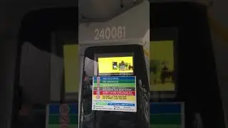 240081