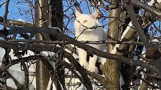 Похолодало, дачники мёрзнут 