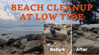 Beach Cleanup at Low Tide