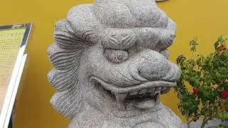 The Secrets of Chinese Lions