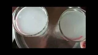   ഒരു  Lime juice 🍋‍🟩ഉണ്ടാക്കിയാലോ? 😋🍋‍🟩