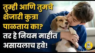 Pet Laws: What are the government rules for pets? | Government Guidelines and Responsibilities