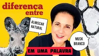 Musk Branco versus Almiscar Natural a diferen&ccedil;a em 1 palavra #1minuto1conceito